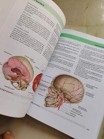 Gray's Anatomy for Students 学生用解剖学 volume1.2