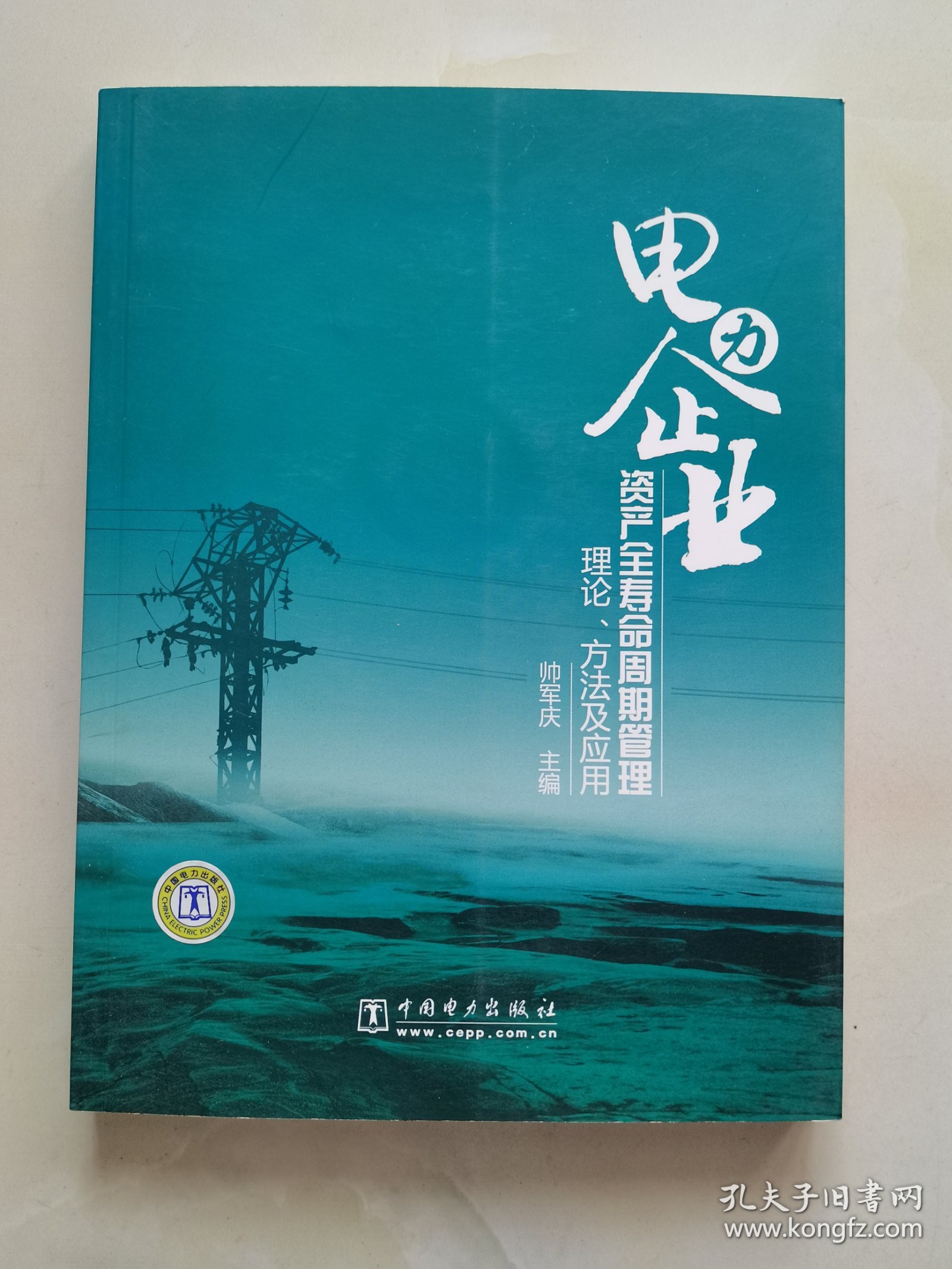 电力企业资产全寿命周期管理：理论、方法及应用