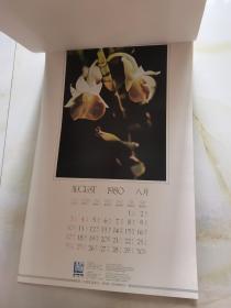 1980年 挂历 恭贺新禧  12月全花蕾 看实物图 卷筒发货