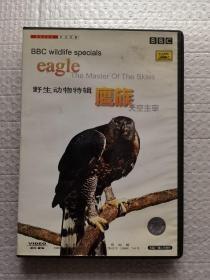 BBC 野生动物特辑 鹰族 天空主宰