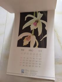 1980年 挂历 恭贺新禧  12月全花蕾 看实物图 卷筒发货