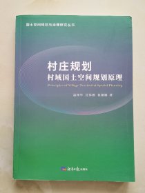 村庄规划村域国土空间规划原理