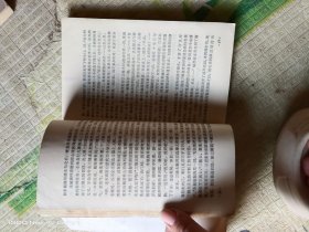 南园魔影（货号：沈14号shengan @!(% xiang ）