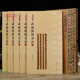 学海轩共5本武威汉简书法合集简帛书法大系原帖简体旁注局部放大上海书画出版社