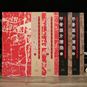 学海轩共4本甲骨照片拓片选合集殷墟甲骨文书体分类萃编繁体释文著录参考丙编上博旅顺花东等毛笔书法字帖鉴赏临摹河南美术出版社