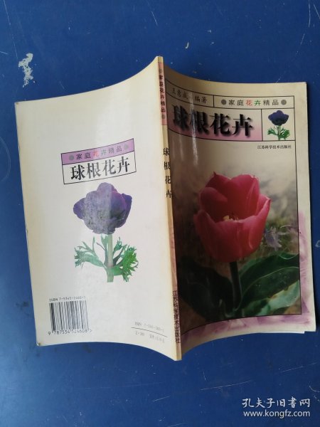 球根花卉