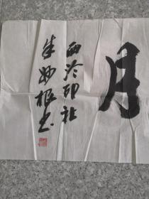 浙江杭州市人西泠印社理事朱妙根书法（116X35CM）保真