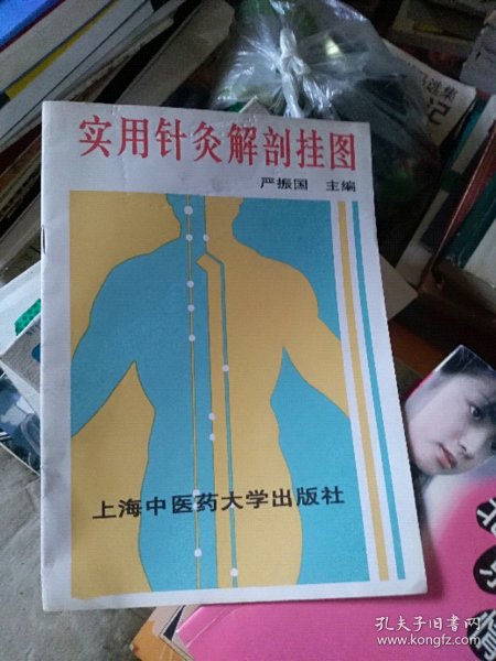 实用针灸解剖挂图