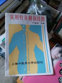 实用针灸解剖挂图