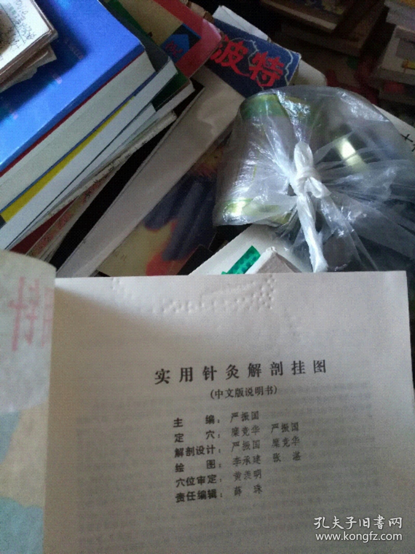 实用针灸解剖挂图