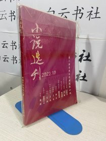 小說選刊 2022年第10期 【實物拍圖,內(nèi)頁干凈】有塑封