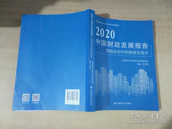 2020中国财政发展报告风险应对中的财政及启示