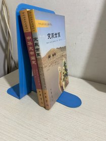 突厥世系+中华大帝国史  二册合售【实物拍图,内页干净，有签章】