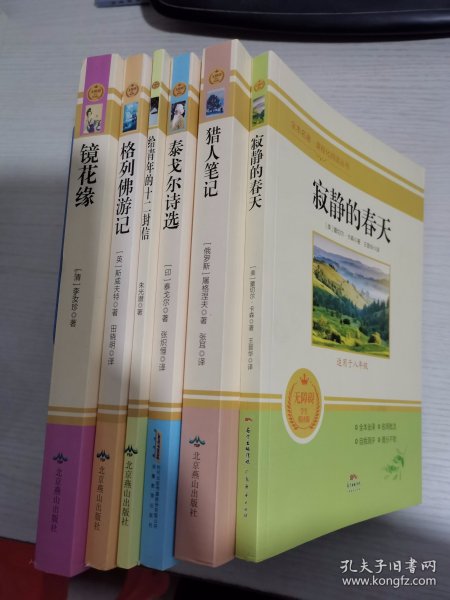 （寂静的春天、猎人笔记、泰戈尔诗选、给青年的十二封信、格列佛游记、镜花缘）无障碍学生精读版  六册合售【实物拍图 内页干净】