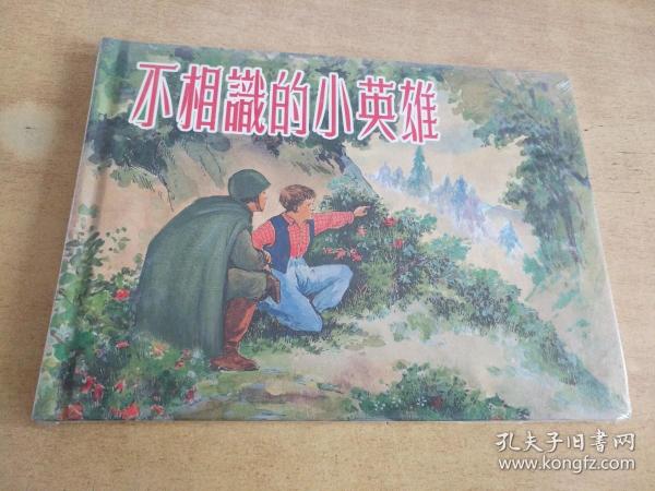 不相识的小英雄
