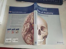 蒂姆解剖学图谱  THIEME Atlas of Anatomy