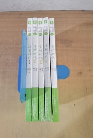 意林致青春系列：5折星时代（一）+青柠时代（二、三、四、五）共5册合售【全新塑封】