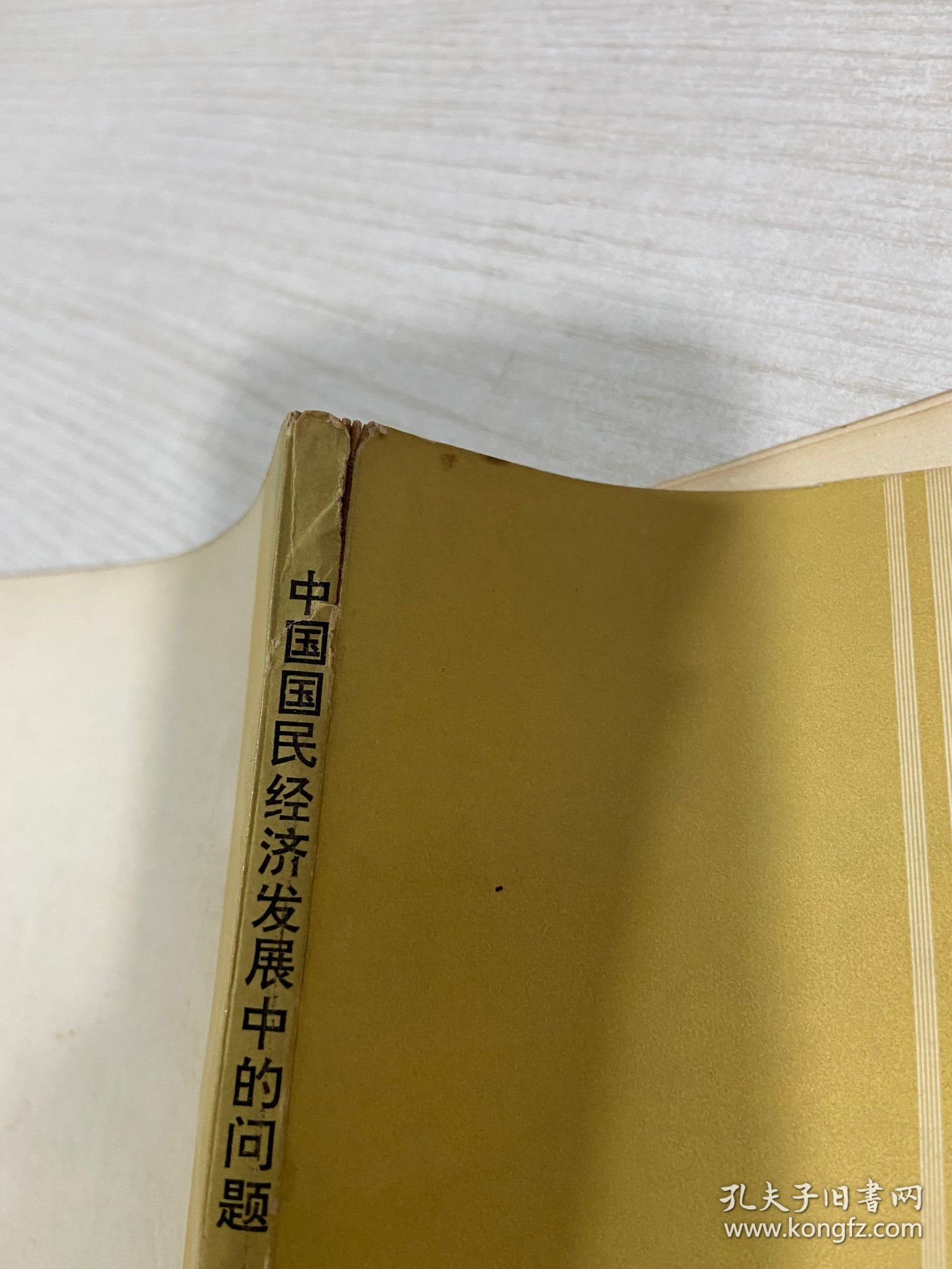 中国国民经济发展中的问题