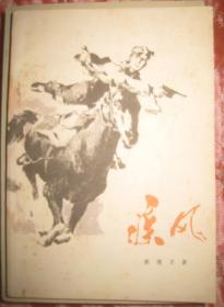 【疾风 】 作者:  蔡维才 出版社:  湖北人民出版社