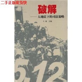 二手 破解:大地震下的司法策略 牛敏 人民法院出版社