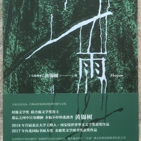正版新书/雨 黄锦树著