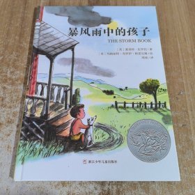 暴风雨中的孩子：美国凯迪克银奖作品