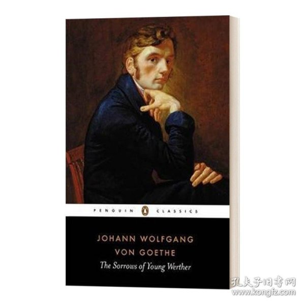 英文原版小说 The Sorrows of Young Werther 少年维特的烦恼 Goethe 歌德 英文版 进口英语原版书籍