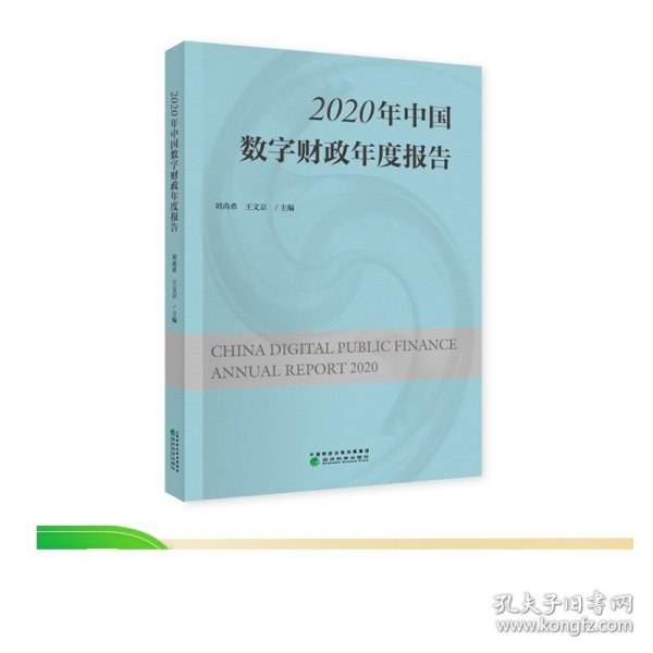 2020年中国数字财政年度报告