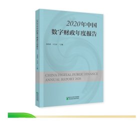 2020年中国数字财政年度报告