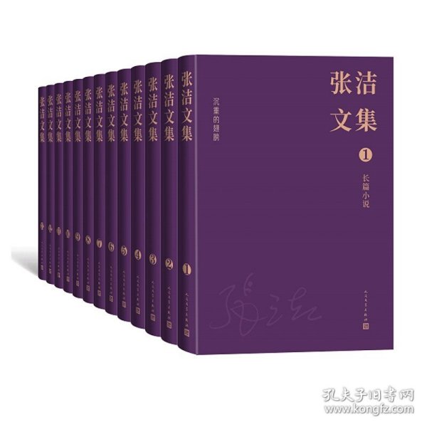 张洁文集（全13卷）