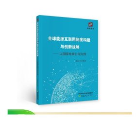 全球能源互联网制度构建与创新战略：以国家电网公司为例