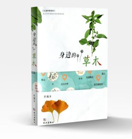 《身边的草木》江城科普读库系列 儿童科普图书 作者杜巍