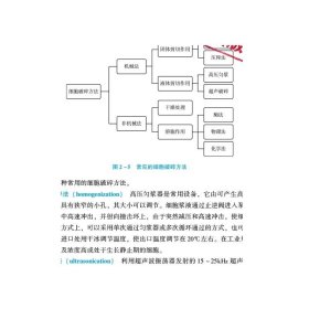 生物药物（高等职业教育药学类与食品药品类专业第四轮教材）