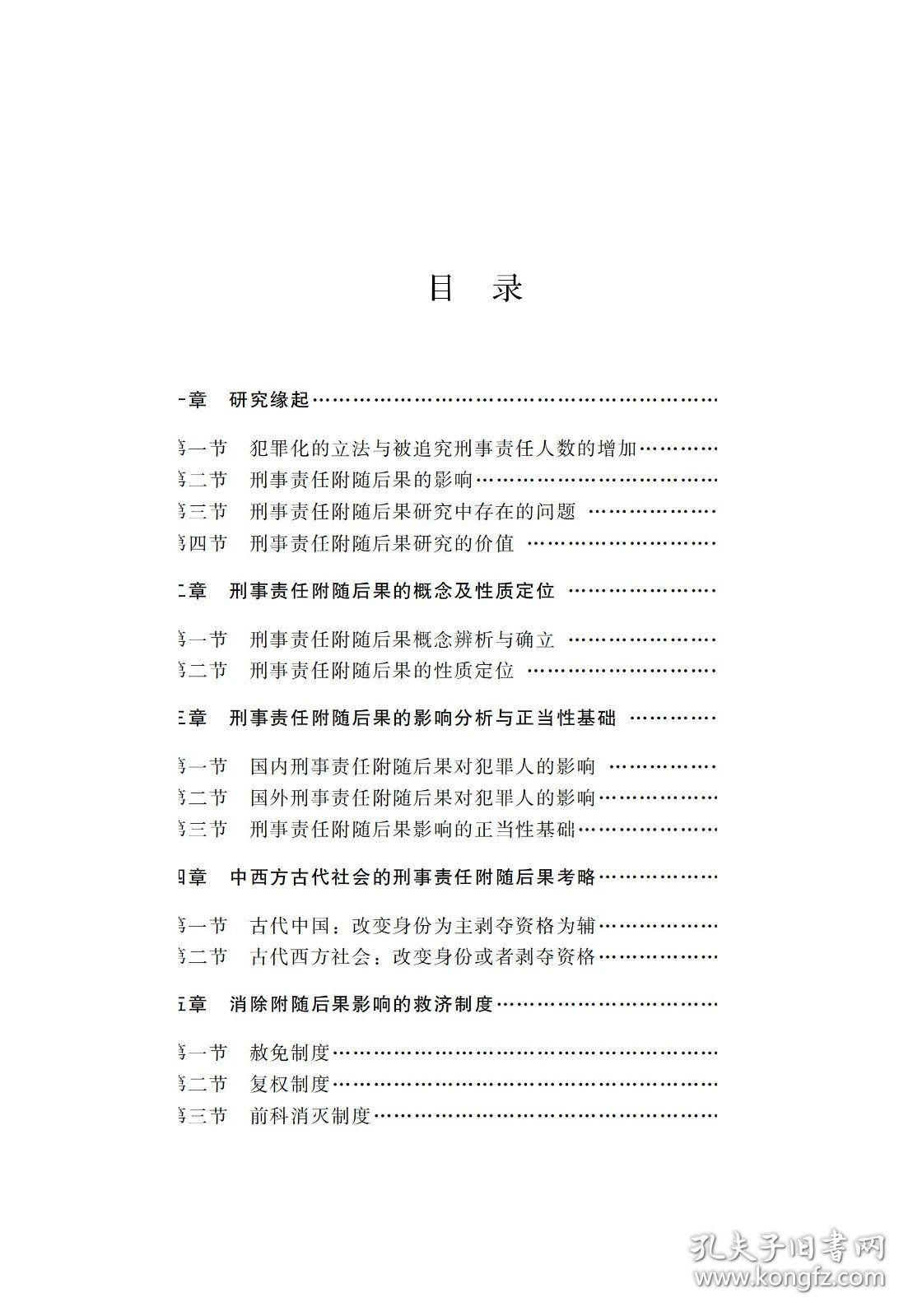 官方正版刑事责任附随后果研究孙燕山著山东大学出版社