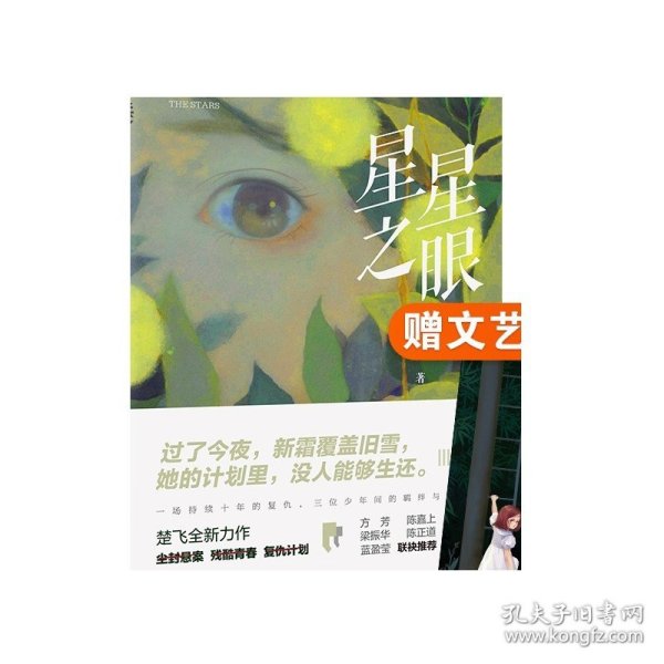 星星之眼（知名导演陈嘉上感动推荐，随书附赠原创文艺风卡片）