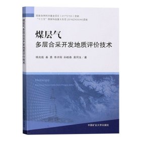 煤层气多层合采开发地质评价技术全新正版