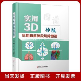 实用3D导航早期肺癌肺段切除图谱