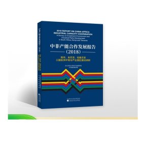 中非产能合作发展报告（2018）