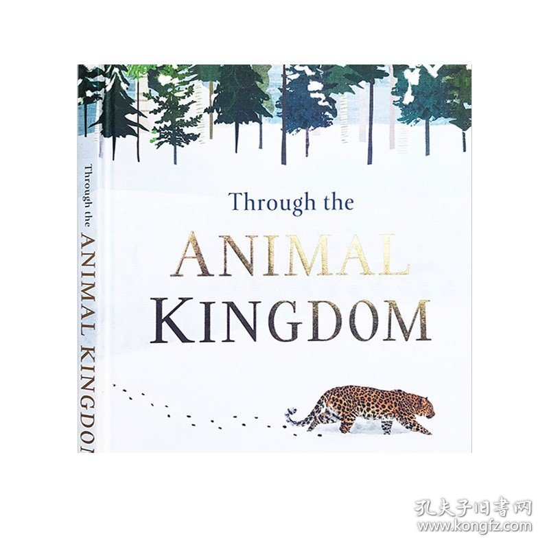 穿越动物王国 英文原版绘本 Through the Animal Kingdo  发现神奇动物和他们的非凡栖息地 DK儿童科普百科读物 英文版进口英语书