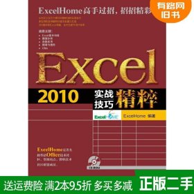 Excel 2010实战技巧精粹