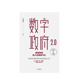 数字政府2.0：数据智能助力治理现代化