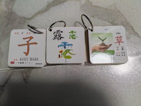 益智学习卡：趣味识汉字