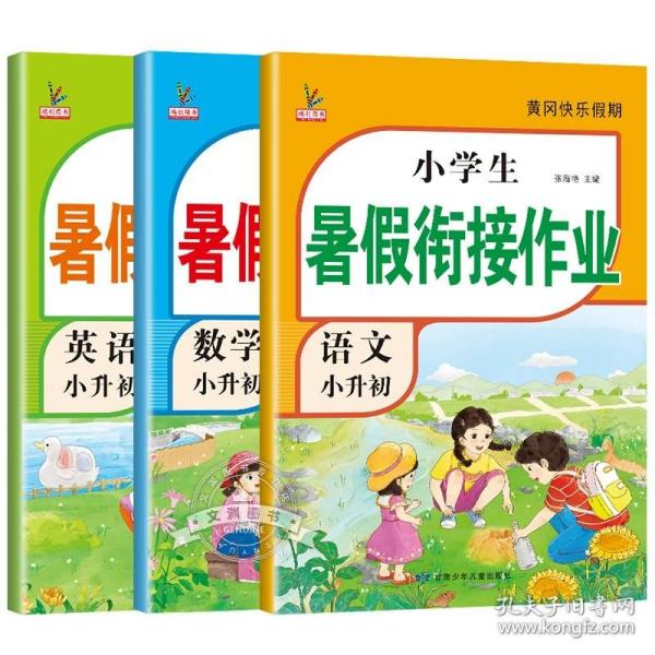 正版全新小学升初中/【3册】语文+数学+英语暑假作业 小升初暑假衔接六年级下册暑假作业全套3册语文数学英语六升七教材 小学练习6年级下学期语数英初中同步专项训练人教版