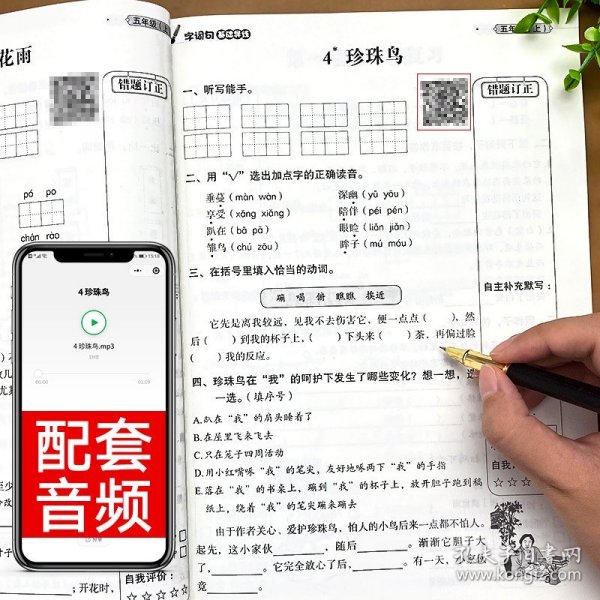 字词句基础导练(5上)