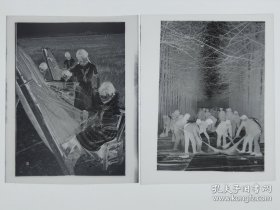 80年代·北京市小学·组织师生清理街道卫生·少先队员利用课余时间·帮助渔民织补渔网·黑白老底片2张·新华社底片·尺寸：70X60mm·详见书影·CDZPDP·70·10