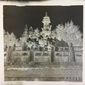 共和国初期军乐团相关·合影于南京玄武湖·旧底片4枚·详见书影·CDZPDP·30·10