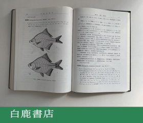 【白鹿书店】中国动物志 硬骨鱼纲 鲤形目 中卷 科学出版社1998年初版精装仅印900册