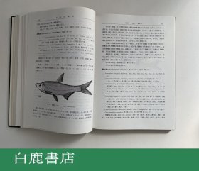 【白鹿书店】中国动物志 硬骨鱼纲 鲤形目 中卷 科学出版社1998年初版精装仅印900册