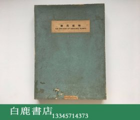 【白鹿书店】上海标本模型厂1969年生产 药用植物标本 一盒20枚