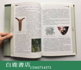 【白鹿书店】古玉说纹 东南大学出版社2011年初版